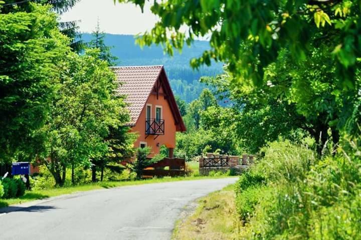 Villa Wydrza-Przystan Mirsk Exterior foto